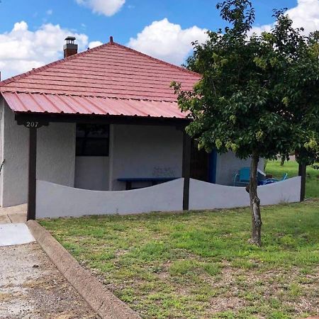 アルパイン El Viejo Adobe - Across From Sul Ross Campus Bed & Breakfast エクステリア 写真
