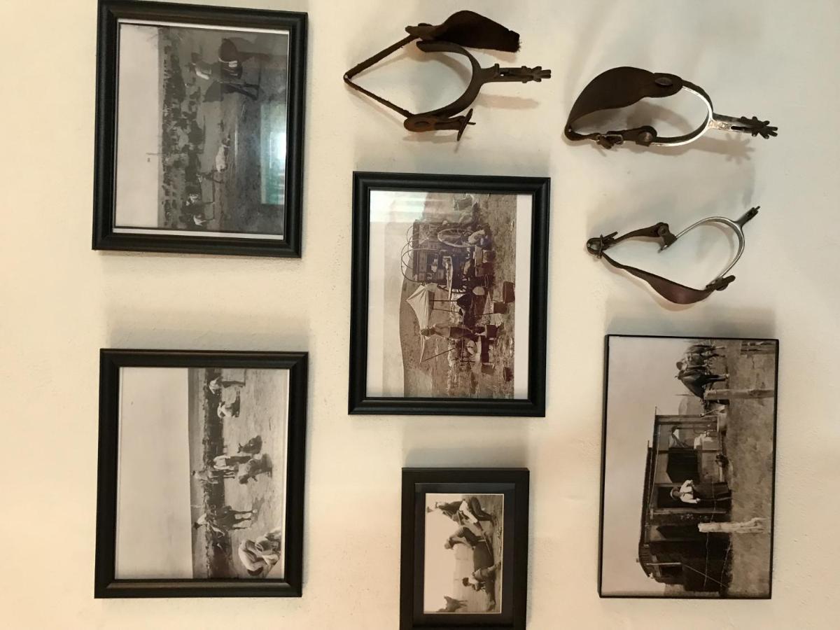 アルパイン El Viejo Adobe - Across From Sul Ross Campus Bed & Breakfast エクステリア 写真